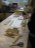 gateau7